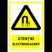 Semn pentru electromagnet